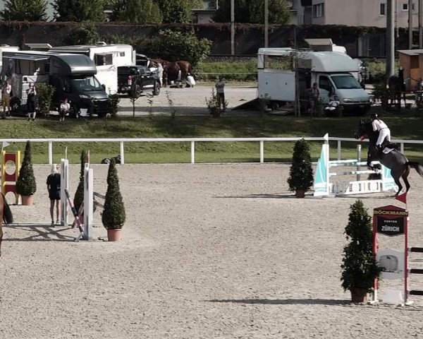 Pferdesporttage Bülach 2021