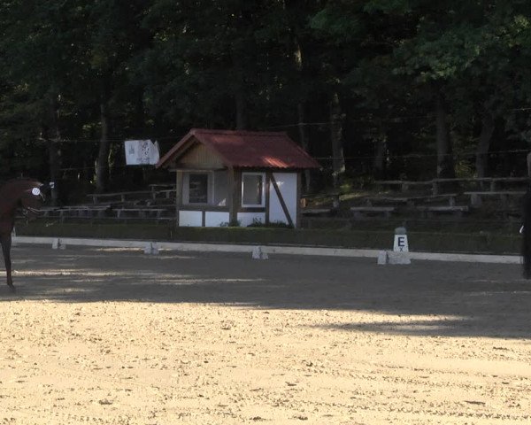 Reitturnier Neu-Anspach / Wintermühle 2021