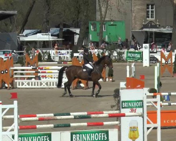 Lenklarer Reitertage 2015