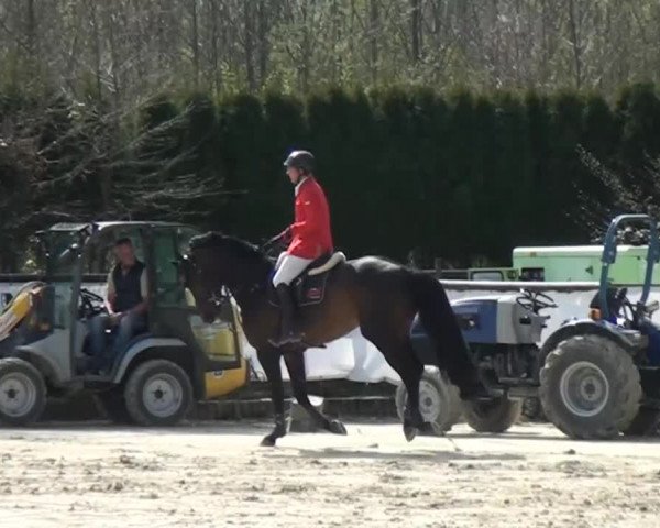 Eschweiler Masters 2015