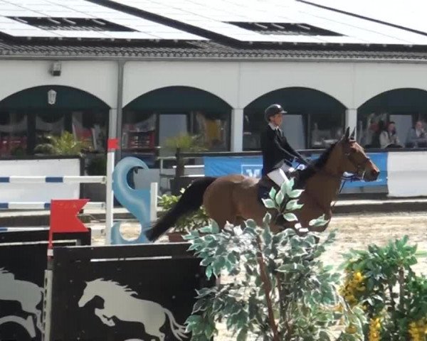 Eschweiler Masters 2015