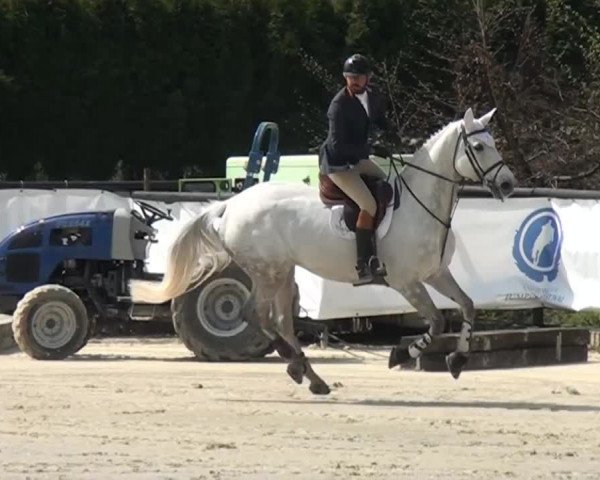 Eschweiler Masters 2015