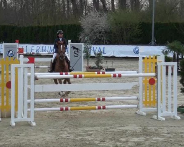 Eschweiler Masters 2015