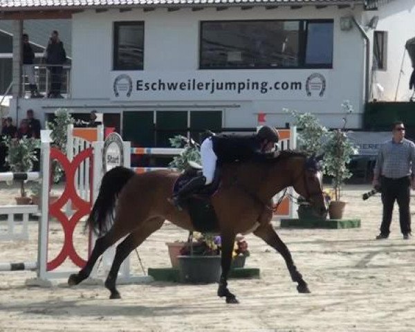 Eschweiler Masters 2015