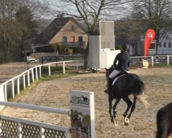 Spenge-Wallenbrück 2015
