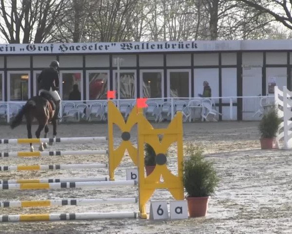 Spenge-Wallenbrück 2015