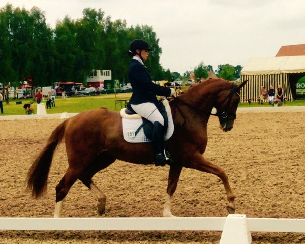 broodmare La Lumiere 3 (German Sport Horse, 2010, from Laureus NRW)