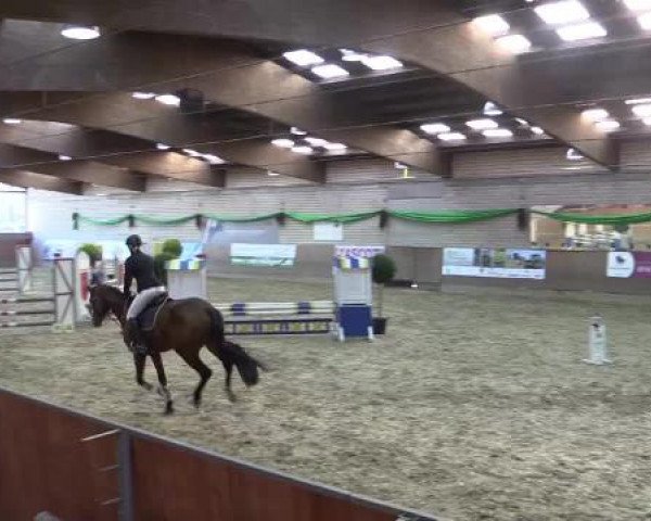 Hallenturnier Leverkusen-Rheindorf 2015