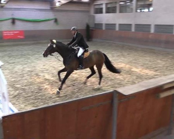 Hallenturnier Leverkusen-Rheindorf 2015