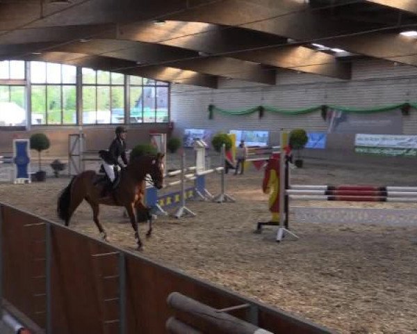 Hallenturnier Leverkusen-Rheindorf 2015