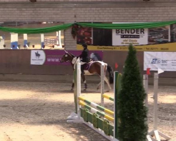 Hallenturnier Leverkusen-Rheindorf 2015