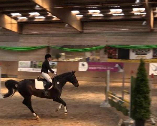 Hallenturnier Leverkusen-Rheindorf 2015