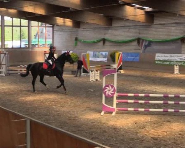 Hallenturnier Leverkusen-Rheindorf 2015