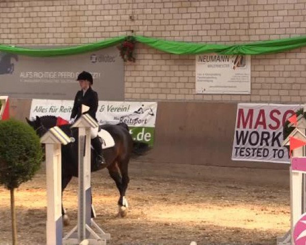 Hallenturnier Leverkusen-Rheindorf 2015