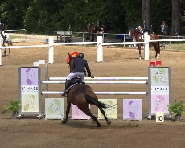 Torneo Equestre Königsbrunn-Fohlenhof/Schw. 2026
