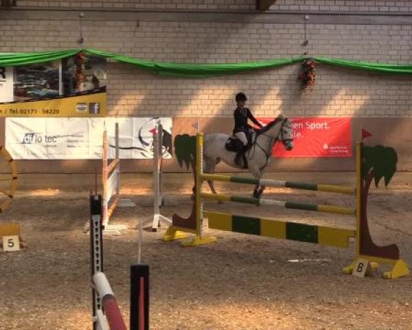 Hallenturnier Leverkusen-Rheindorf 2015