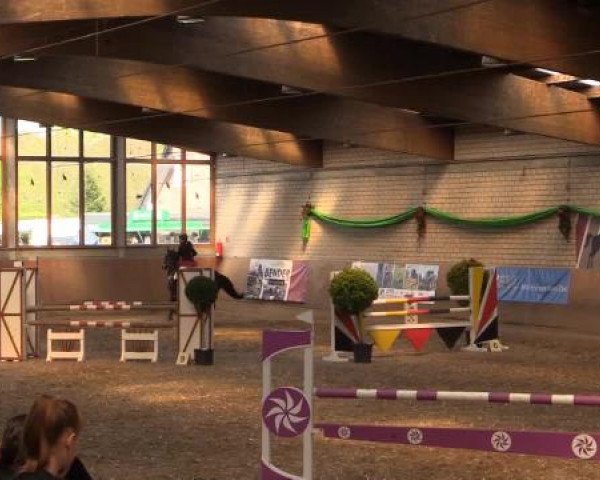 Hallenturnier Leverkusen-Rheindorf 2015
