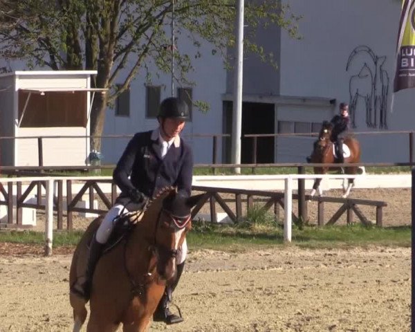 Spenge-Wallenbrück 2015