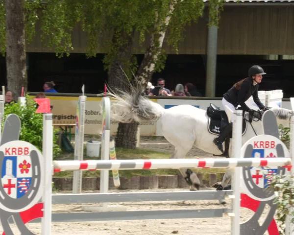 Torneio Equestre Viernheim 2026