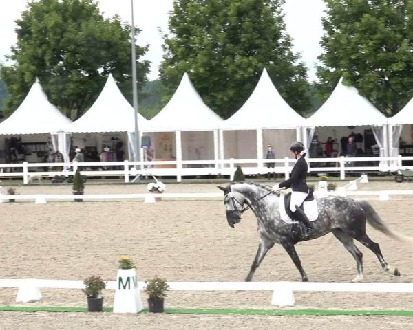 Torneio Equestre Hüntwangen 2026