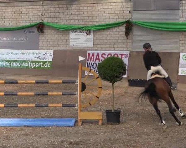 Hallenturnier Leverkusen-Rheindorf 2015