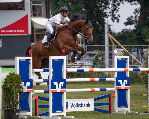 jumper Lex Largo (Hanoverian, 2008, from Lex Lugar)