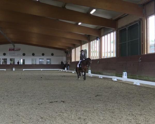 Reitturnier Coesfeld-Lette 2026