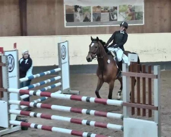 Springturnier Ulm/Neu-Ulm 2015