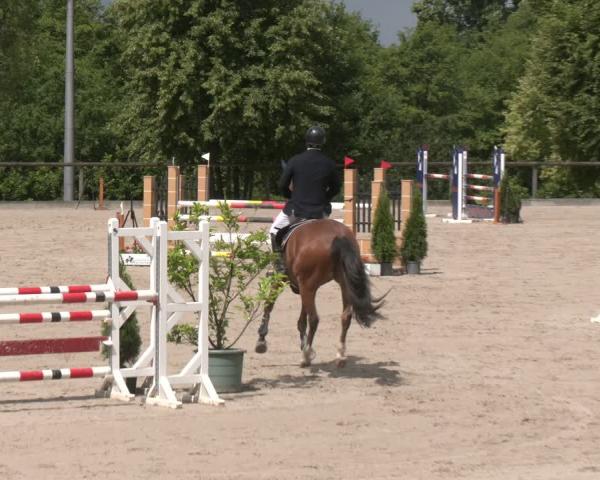 Torneio Equestre Düsseldorf - Uhlenhof 2026