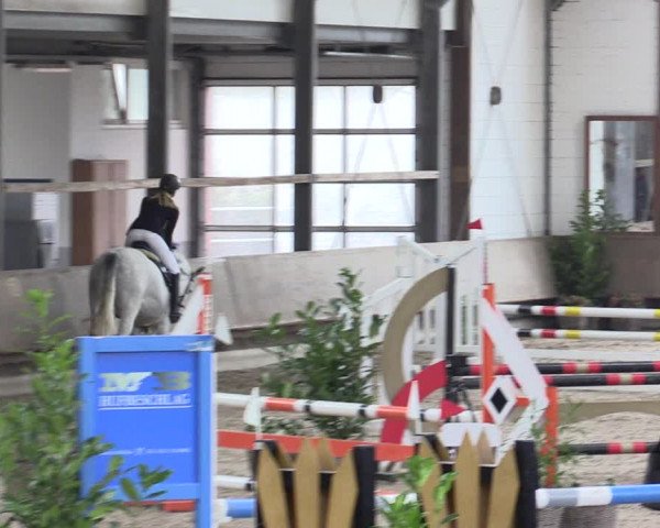 Reitturnier Langenfeld - Gut Langfort 2021