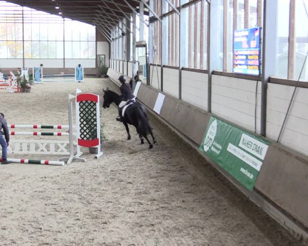 Reitturnier Langenfeld - Gut Langfort 2021
