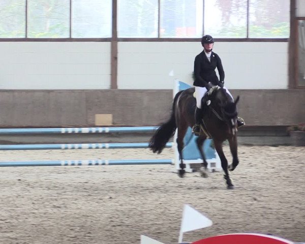 Reitturnier Langenfeld - Gut Langfort 2021