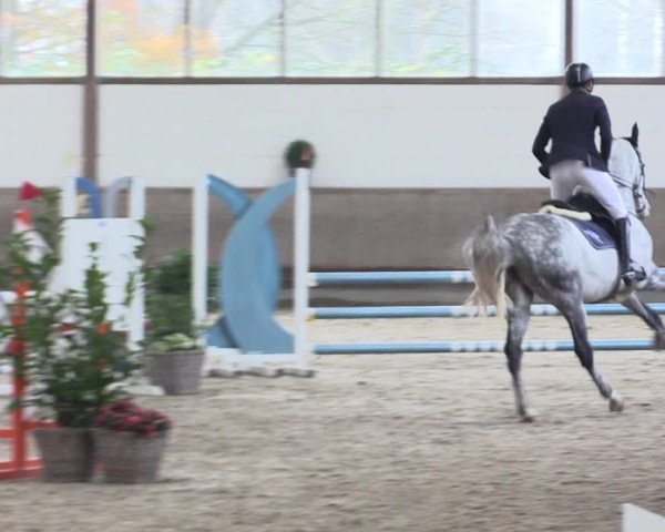 Reitturnier Langenfeld - Gut Langfort 2021