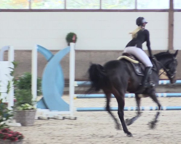 Reitturnier Langenfeld - Gut Langfort 2021