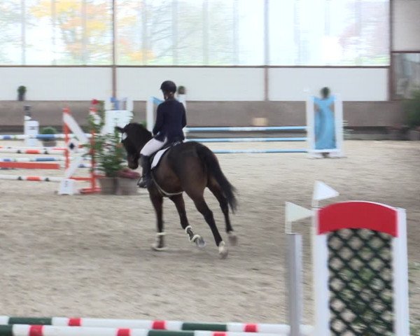 Reitturnier Langenfeld - Gut Langfort 2021