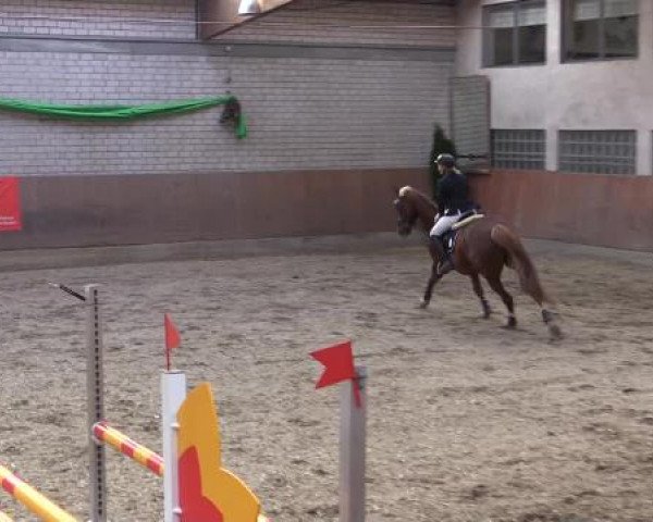 Hallenturnier Leverkusen-Rheindorf 2015