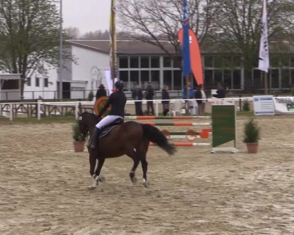 Spenge-Wallenbrück 2015