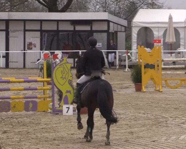 Spenge-Wallenbrück 2015