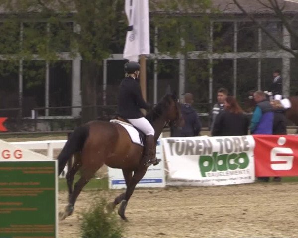 Spenge-Wallenbrück 2015