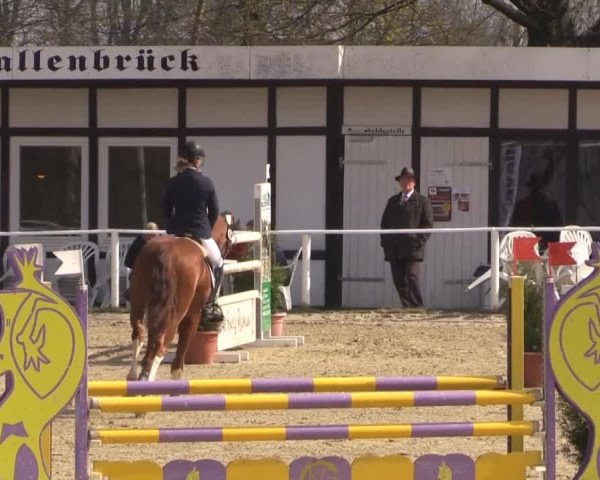 Spenge-Wallenbrück 2015