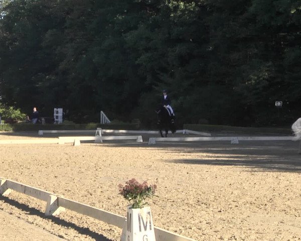 Reitturnier Neu-Anspach / Wintermühle 2021