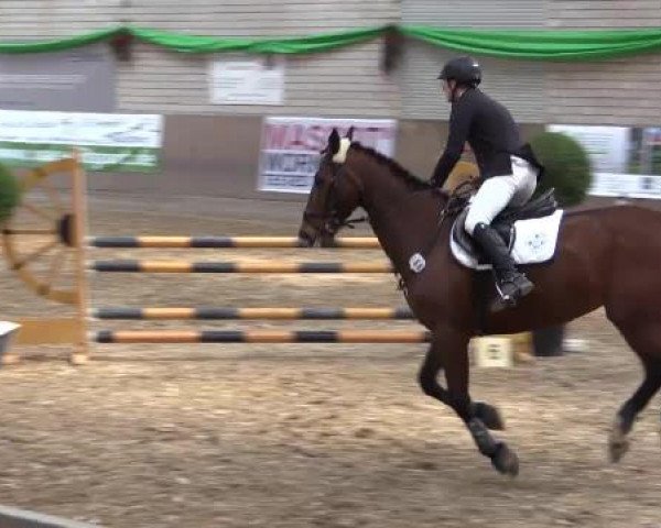 Hallenturnier Leverkusen-Rheindorf 2015
