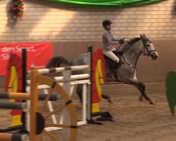 Hallenturnier Leverkusen-Rheindorf 2015