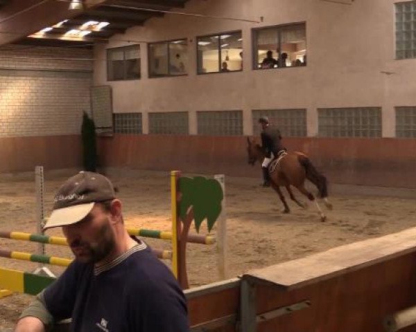 Hallenturnier Leverkusen-Rheindorf 2015