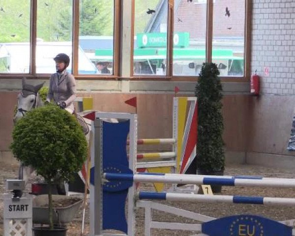 Hallenturnier Leverkusen-Rheindorf 2015