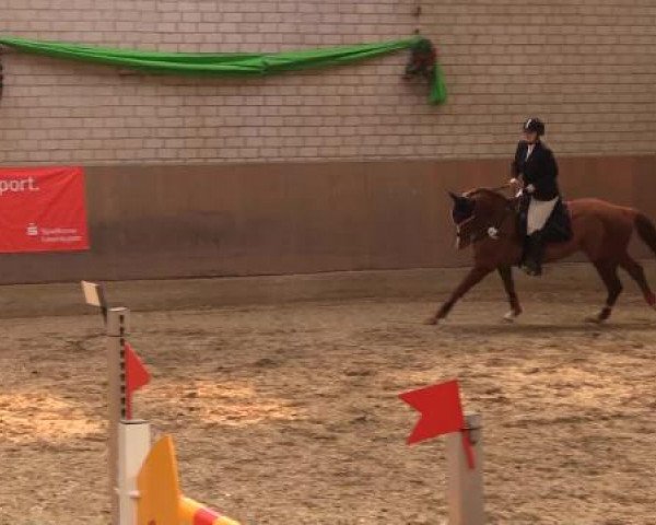 Hallenturnier Leverkusen-Rheindorf 2015