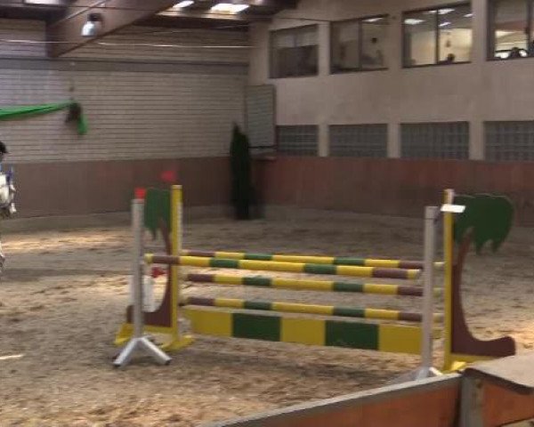 Hallenturnier Leverkusen-Rheindorf 2015