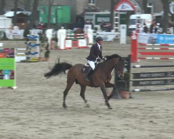Lenklarer Reitertage 2015
