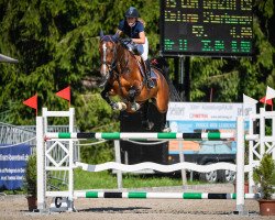 Springpferd Con Grazia Cs (Schweizer Warmblut, 2013, von Con Air)