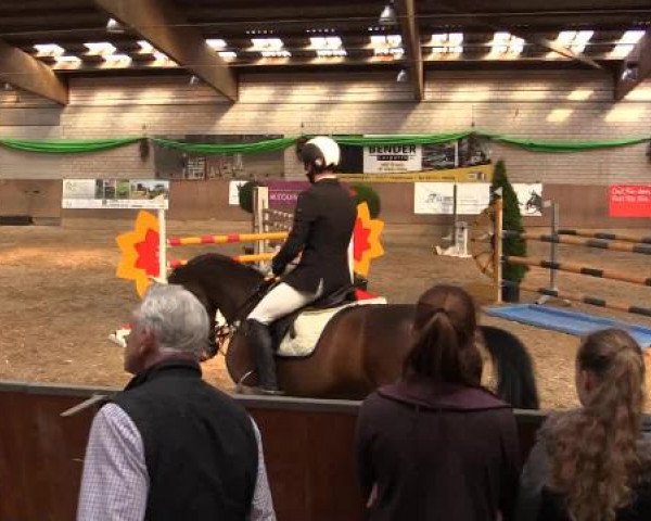 Hallenturnier Leverkusen-Rheindorf 2015